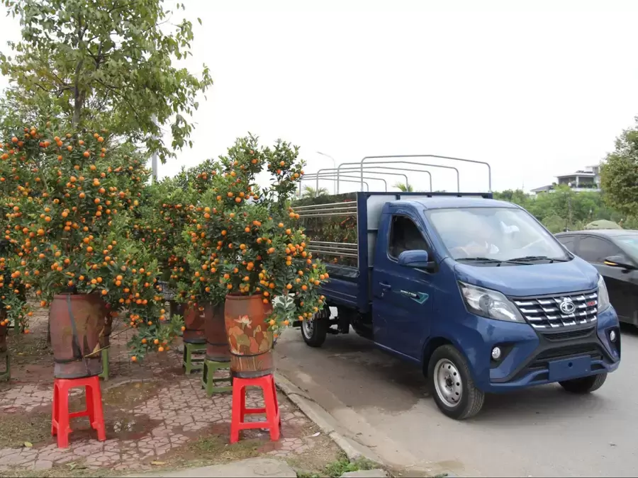 Xe tải 990kg là phân khúc phổ biến trong kinh doanh giao nhận hàng hóa hiện nay