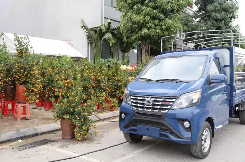 Giá xe tải 990kg Teraco: Bảng giá mới nhất tháng 6/2026