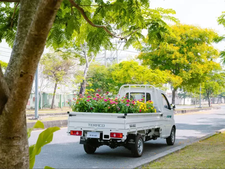 Chở cây cảnh đi buôn với xe tải nhỏ