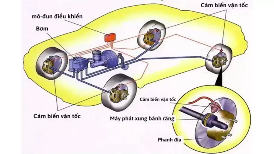 Phanh ABS hoạt động dựa theo nguyên lý ngăn bánh xe bị khóa cứng khi phanh gấp