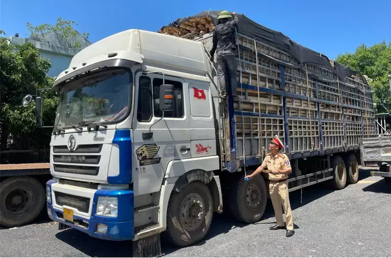 Quy định về chiều cao thùng xe tải mới nhất 2025