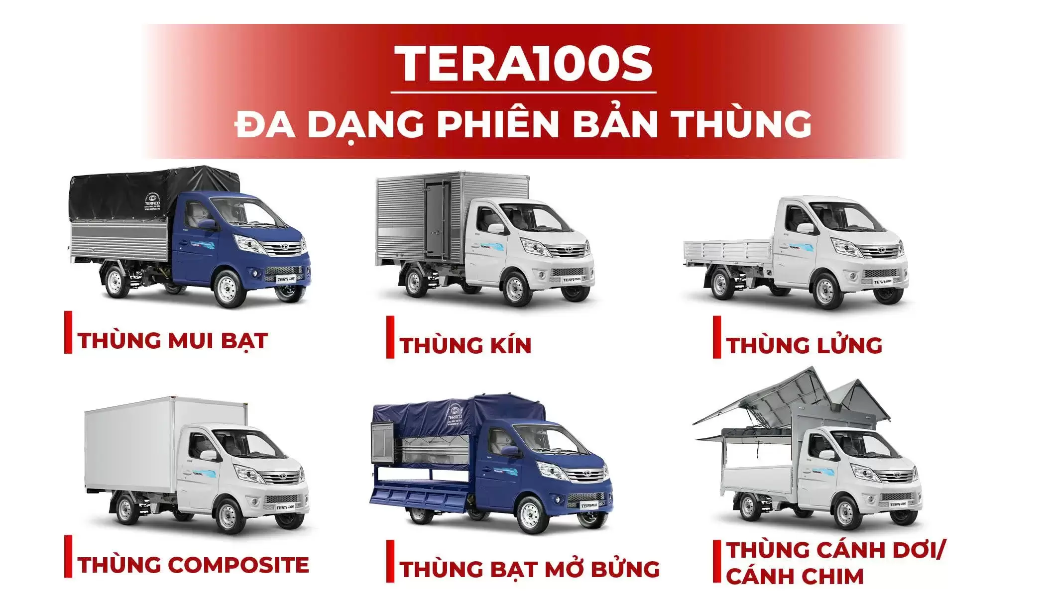 Tera 100S đa dạng thùng hàng