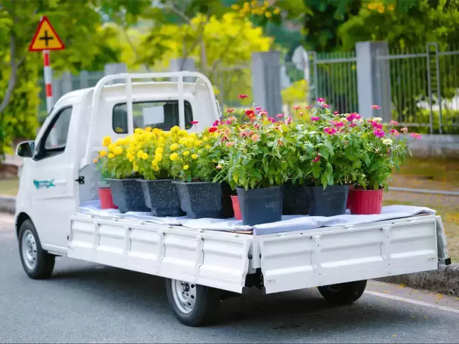 Xe tải thùng lửng chở cây cảnh