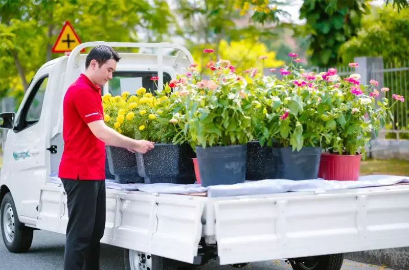 Xe tải chở hoa Tết nào tối ưu? Kinh nghiệm chọn xe phù hợp
