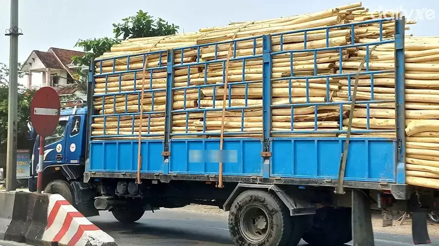 Xe tải được phép chở hàng dài không quá 20 m và 1,1 lần chiều dài toàn bộ xe