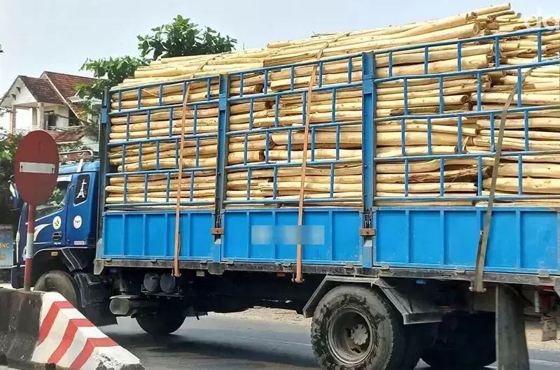 Xe tải được phép chở hàng dài bao nhiêu theo quy định?