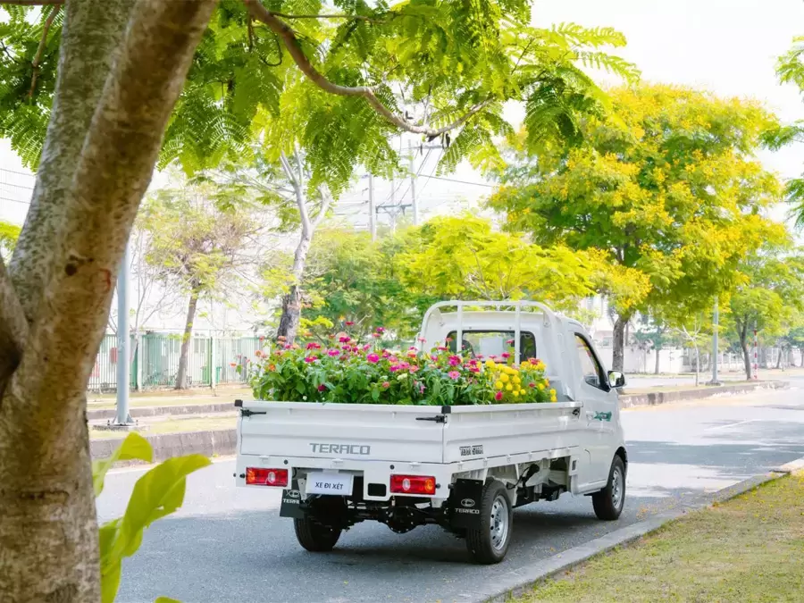 Xe tải nhỏ chở cây cảnh trong thành phố